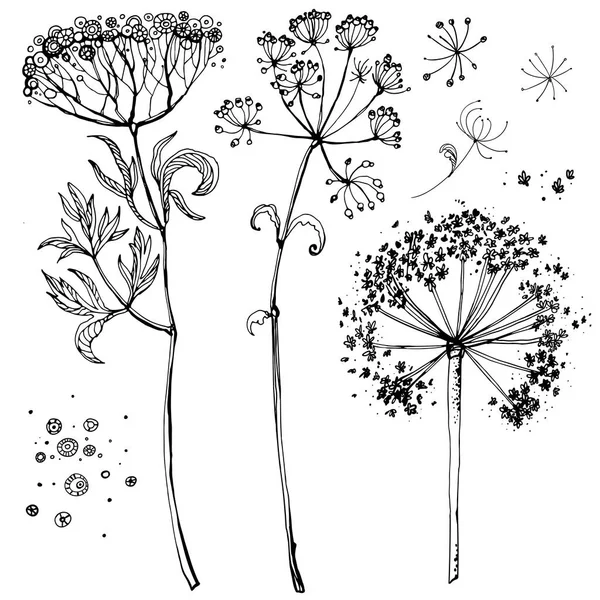 Dill handgetekende set — Stockvector