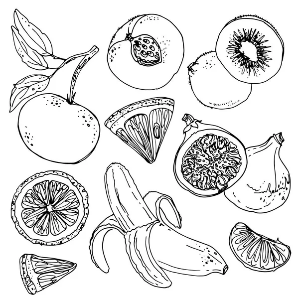 Набір мальованої фрукти — стоковий вектор