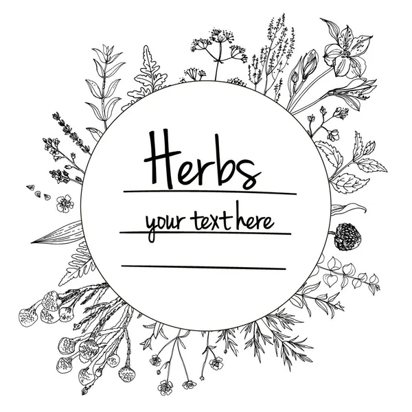 Herbal yang digambar tangan dengan tempat untuk teks - Stok Vektor