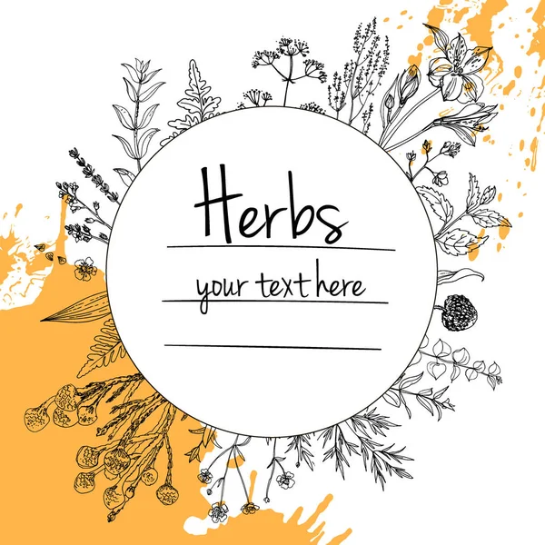 Herbal yang digambar tangan dengan tempat untuk teks - Stok Vektor