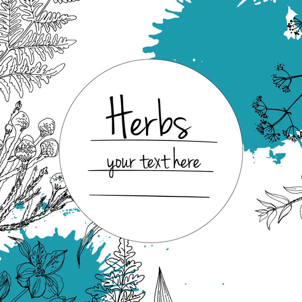 A hely a szöveget kézzel rajzolt gyógynövények — Stock Vector