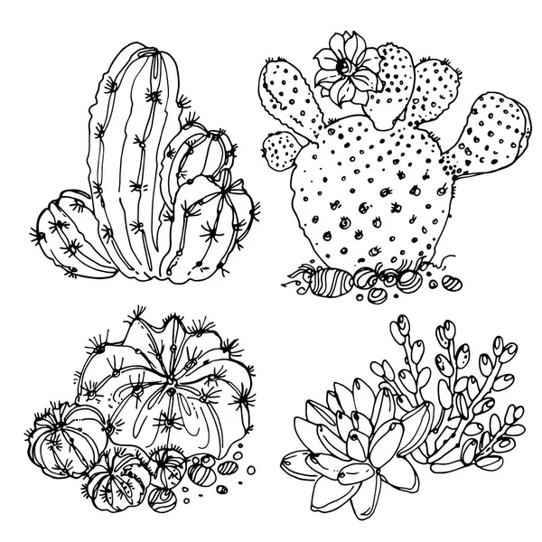 Vetplanten en cactussen set — Stockvector