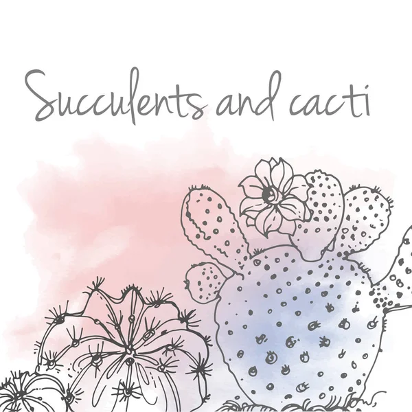 Pozsgás növények és kaktuszok banner — Stock Vector