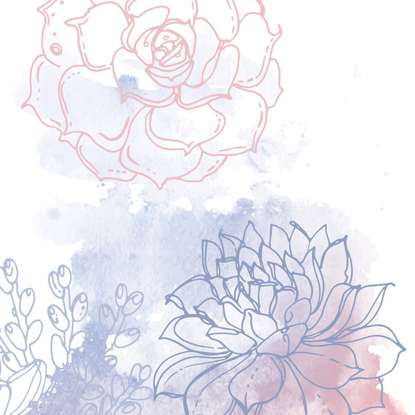 hand-drawn watercolor succulents