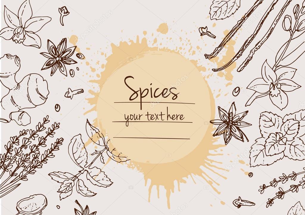 spices card template with place for text