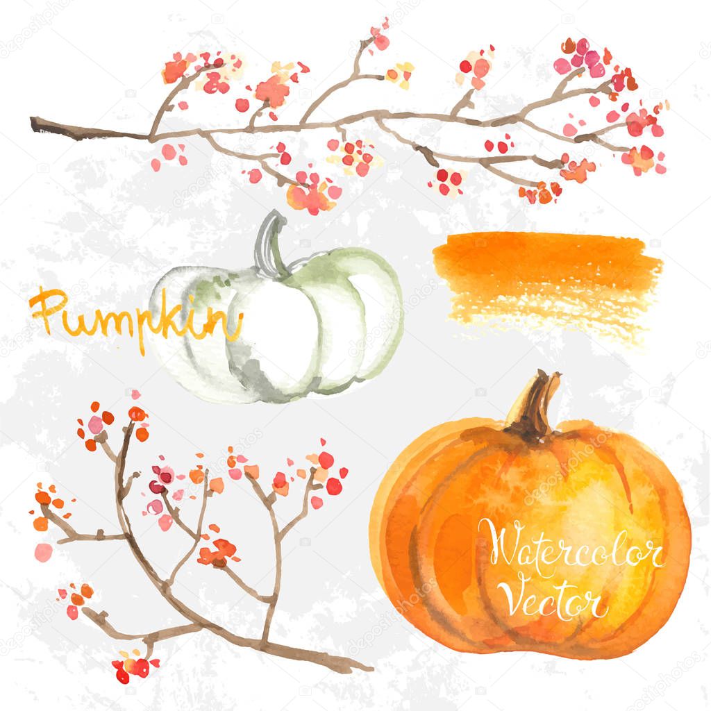 hand-drawn watercolor pumpkins