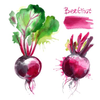 suluboya beetroots çizilmiş