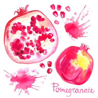 Sulu Boya pomegranetes çizilmiş