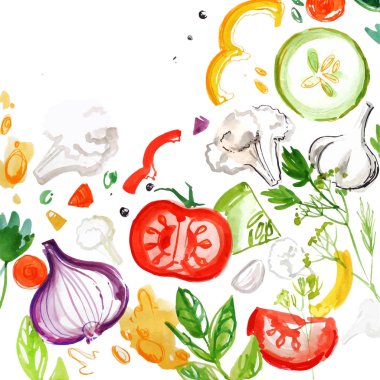 sebze sulu boya seti