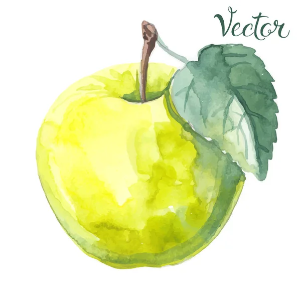 Handritade vattenfärg apple — Stock vektor