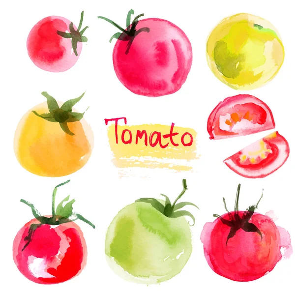 Aquarel tomaten handgetekende set — Stockvector