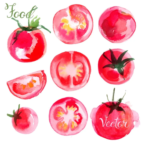 Suluboya domates çizilmiş seti — Stok Vektör