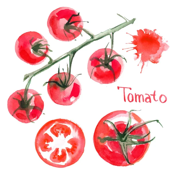 Tomates acuarela dibujados a mano — Vector de stock