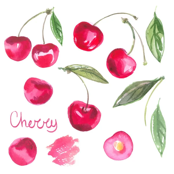 Cerises aquarelle dessinées à la main — Image vectorielle