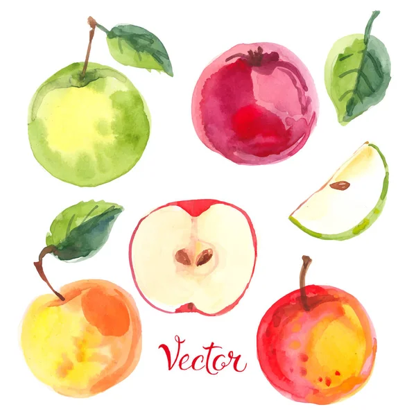 Äpplen akvarell set — Stock vektor