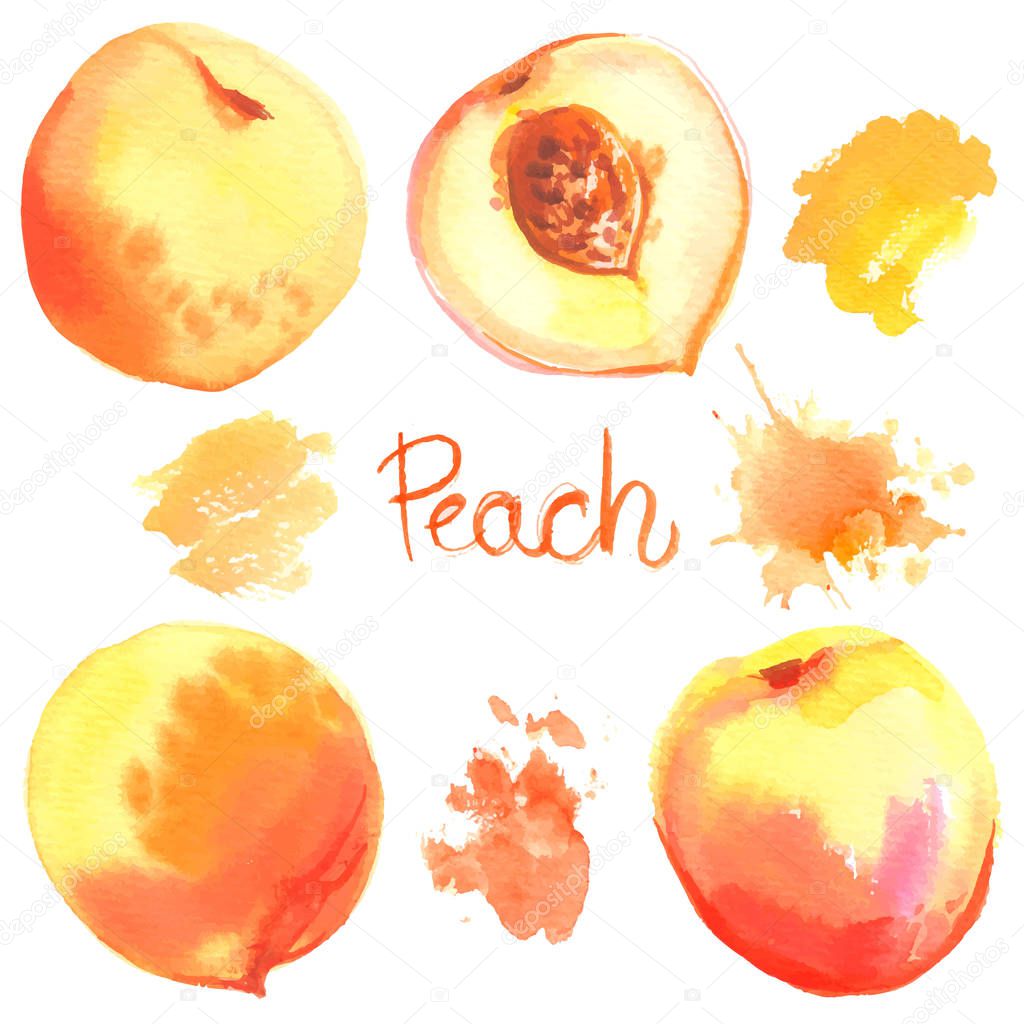 hand-drawn watercolor peaches