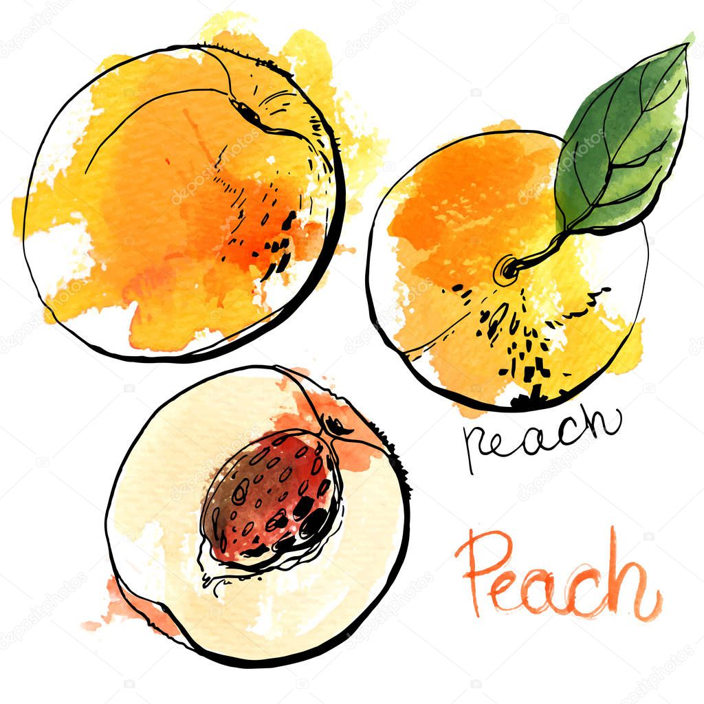 hand-drawn watercolor peaches