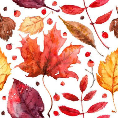 Sonbahar yapraklarının deseni beyaz arka planda suluboya boya ile boyanmış. Renkli parlak yapraklar elle boyanmış, boya, doku, suluboya. Kuru dal, meşe, Akçaağaç Yaprağı