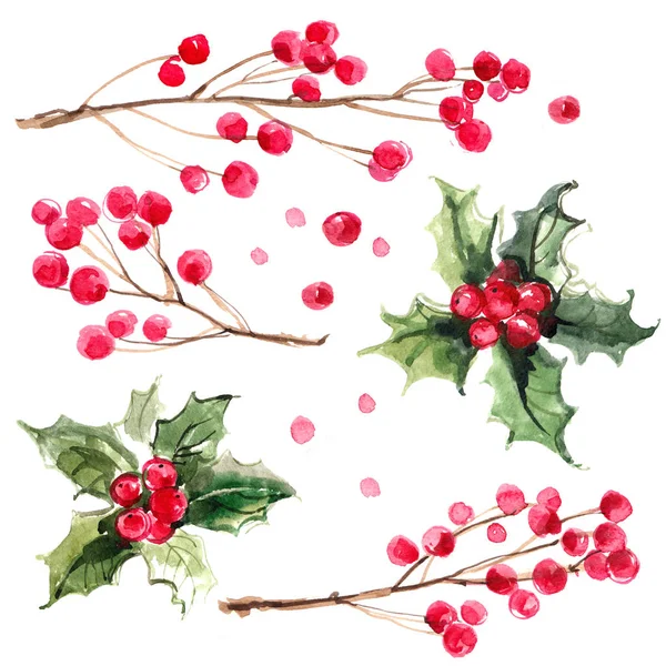 Karácsonyi Díszek Ágak Festett Fehér Háttér Akvarelljei Holly Sprigs Piros — Stock Fotó