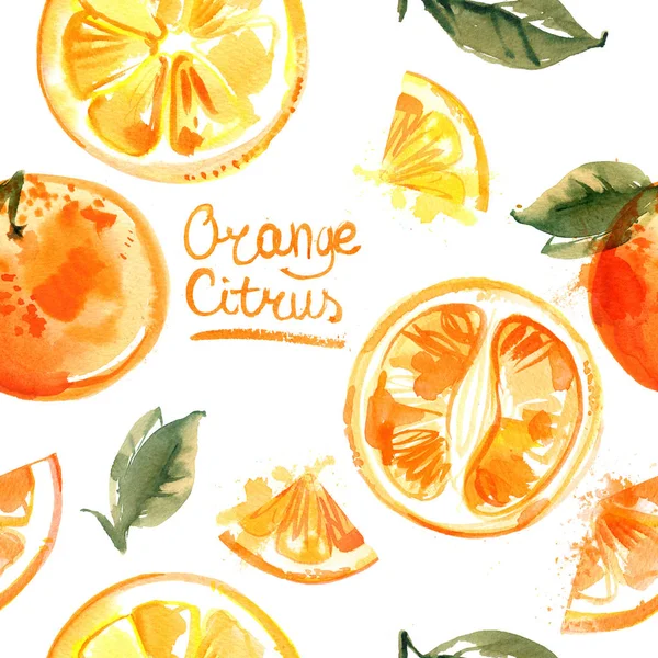 Pattern oranges painted with watercolors on white background. Halves of orange, fruit, leaves, abstract spots
