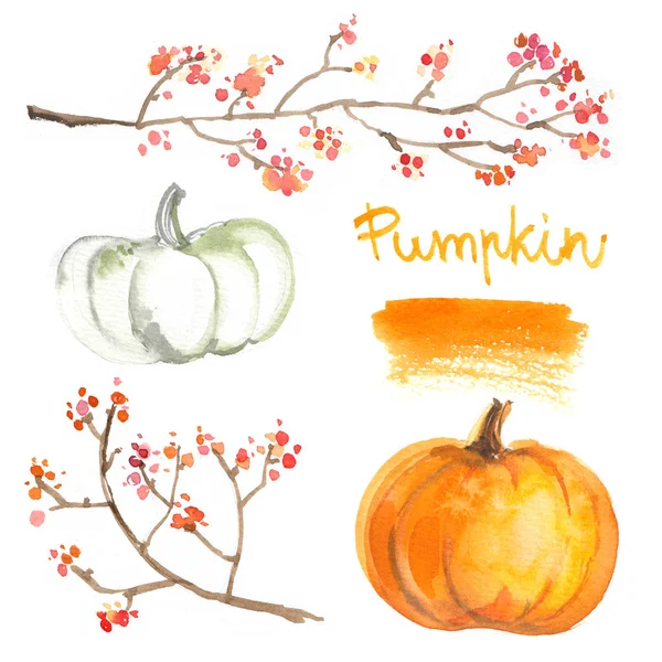 Pumpkins Painted Watercolors White Background Colored Vegetables Painted Paper Autumn — Stock Photo, Image