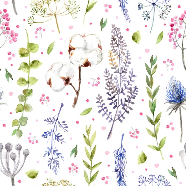 Pattern Herbs and flowers hand-painted watercolor. Botanical drawings. Flowers on a white background.