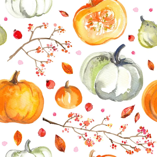 Beyaz zemin üzerine suluboya ile desen Pumpkins boyalı. Renkli sebze kağıda boyanmış. Sonbahar sebze