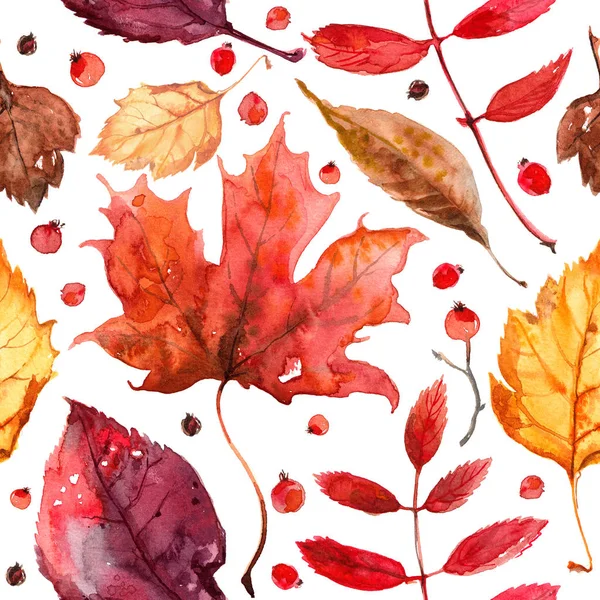 Sonbahar yapraklarının deseni beyaz arka planda suluboya boya ile boyanmış. Renkli parlak yapraklar elle boyanmış, boya, doku, suluboya. Kuru dal, meşe, Akçaağaç Yaprağı