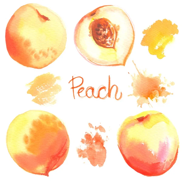Peach Målade Med Akvareller Vit Bakgrund Hälften Persika Ljusa Frukt — Stockfoto