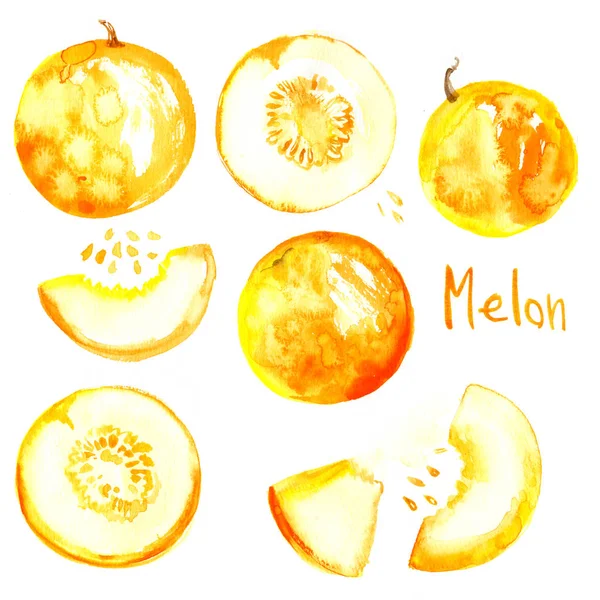 Ensemble Melons Jaunes Peints Aquarelle Sur Fond Blanc Mélon Juteux — Photo
