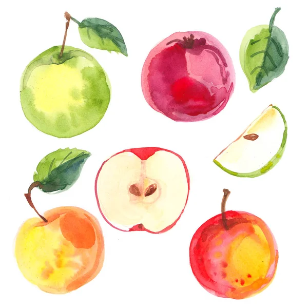 Pommes Peintes Aquarelle Sur Papier Blanc Pomme Rouge Pomme Verte — Photo