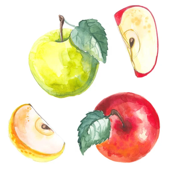 Äpfel Mit Aquarellen Auf Weißem Papier Bemalt Roter Apfel Grüner — Stockfoto