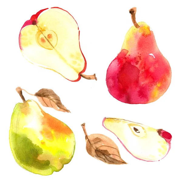 Pêras Pintadas Com Aquarelas Sobre Fundo Branco Frutas Suculentas Coloridas — Fotografia de Stock
