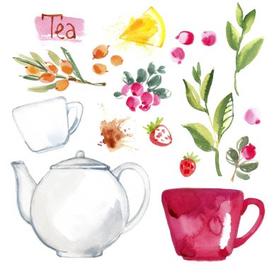 Çay beyaz zemin üzerine suluboya ile boyalı. Kağıt üzerinde şekil mürekkep. Çay chanik, kahve, çilek bir torba. 