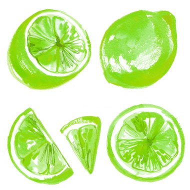 Çizilmiş limon, yeşil meyve, suluboya