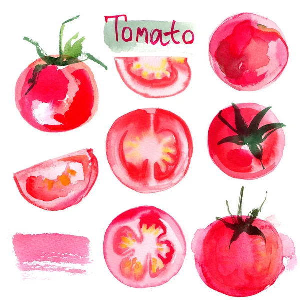 Set Tomatoes Drawn Background Study Vegetables — Stock Photo, Image