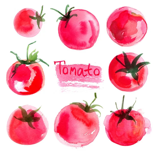 Ustawić Tło Ciągnione Pomidory Badania Warzyw — Zdjęcie stockowe