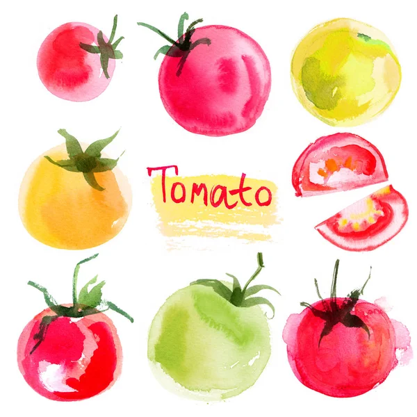 Tomaten Getekende Achtergrond Instellen Studie Groenten — Stockfoto