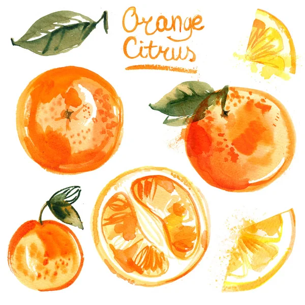 Zestaw Pomarańczy Pomalowane Farbami Białym Tle Połówki Pomarańczy Owoców Liści — Zdjęcie stockowe
