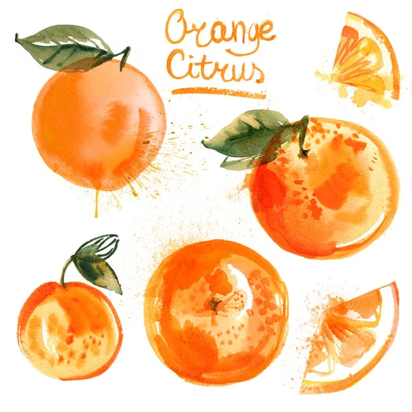 Orangen Mit Aquarellen Auf Weißem Hintergrund Orangenhälften Früchte Blätter Abstrakte — Stockfoto