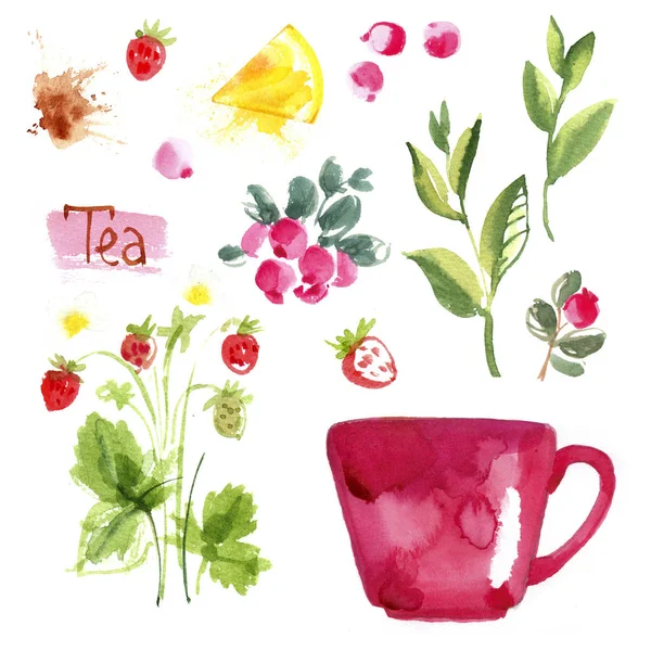 Set Mit Tee Und Beeren Einem Getränk Aus Kräutern Erdbeeren — Stockfoto