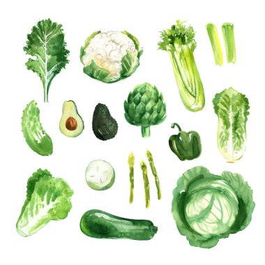 Örnek sebzeler. Patlıcan, domates, biber, soğan, beyaz arka planda tatlı bezelye suluboya çizimi. Yemek resimlerinin çizimi..