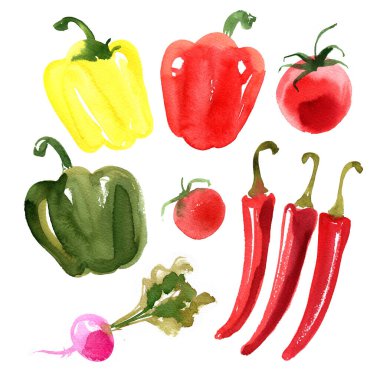 Örnek sebzeler. Patlıcan, domates, biber, soğan, beyaz arka planda tatlı bezelye suluboya çizimi. Yemek resimlerinin çizimi..