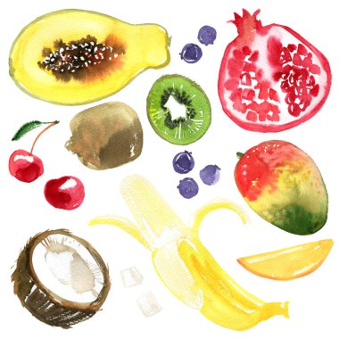 Meyveler. Yemek boyalarının çizimi. Ananas, nar, elma, limon, kivi, muz, limon, kiraz, ahududu suluboya beyaz zemin üzerine çizim. 