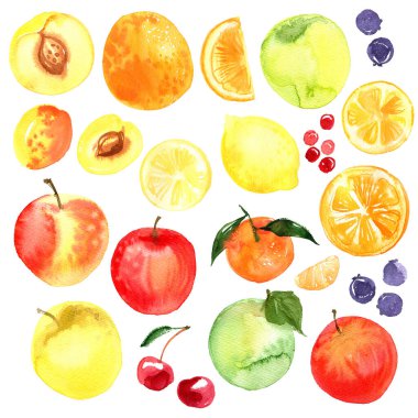 Meyveler. Yemek boyalarının çizimi. Ananas, nar, elma, limon, kivi, muz, limon, kiraz, ahududu suluboya beyaz zemin üzerine çizim. 