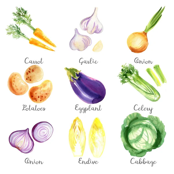 Aquarelgroenten Een Witte Achtergrond Wortelen Knoflook Uien Aardappelen Aubergines Selderij — Stockfoto