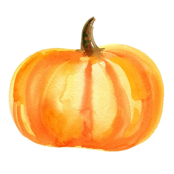 Piece Orange Pumpa Med Frön Målade Med Akvarell Vit Bakgrund — Stockfoto