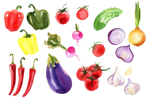 Zöldségminta Tojásnövény Paradicsom Paprika Hagyma Édes Borsó Akvarell Rajz Fehér — Stock Fotó
