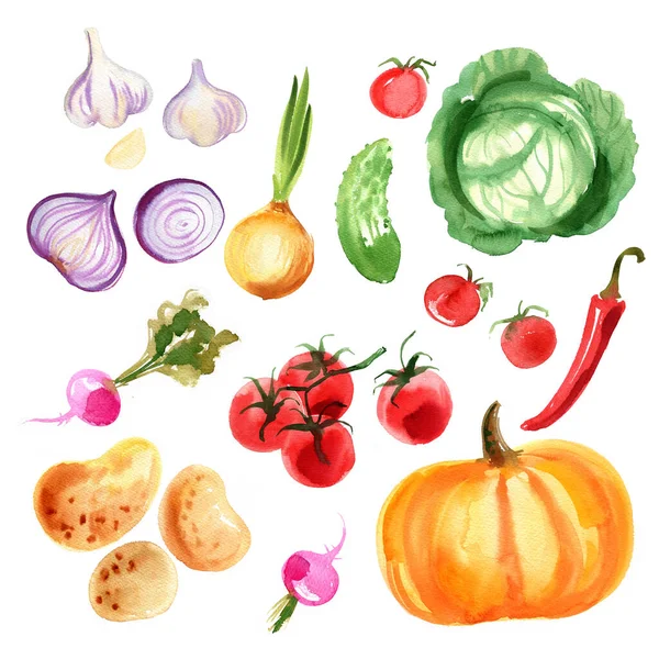 Zöldségminta Tojásnövény Paradicsom Paprika Hagyma Édes Borsó Akvarell Rajz Fehér — Stock Fotó