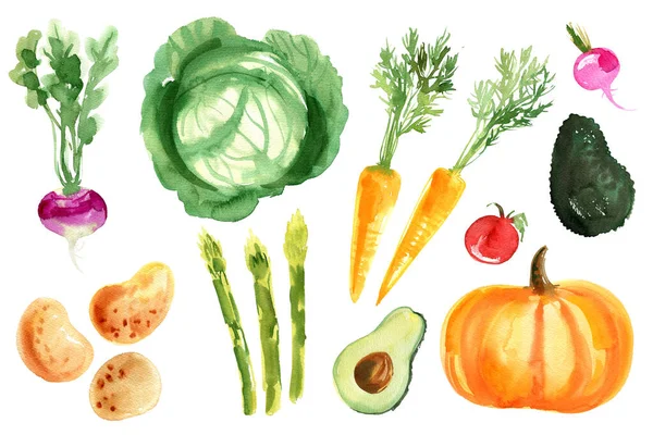 Vzorek Zeleniny Lilek Rajčata Papriky Cibule Sladký Hrášek Akvarel Kresba — Stock fotografie